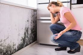 Mold Remediation for Rental Properties in Twin Lakes, VA